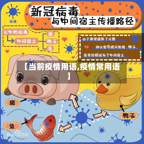 【当前疫情用语,疫情常用语】