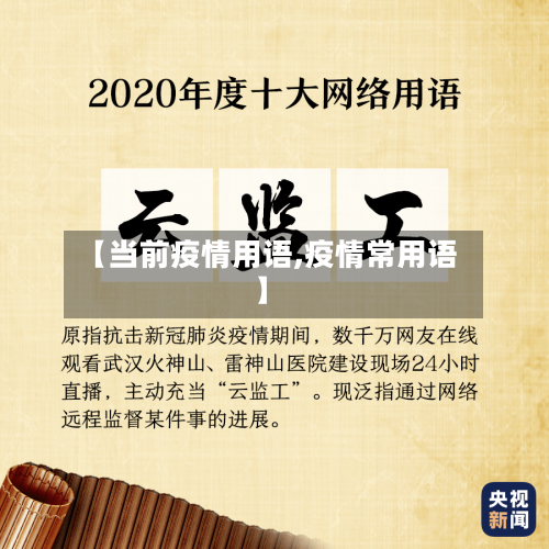 【当前疫情用语,疫情常用语】-第2张图片