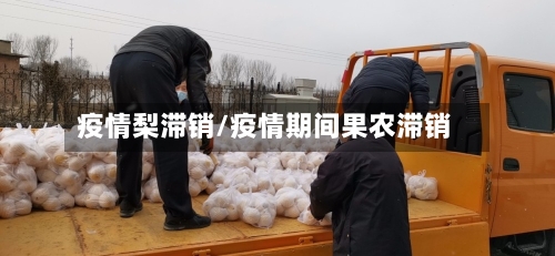 疫情梨滞销/疫情期间果农滞销