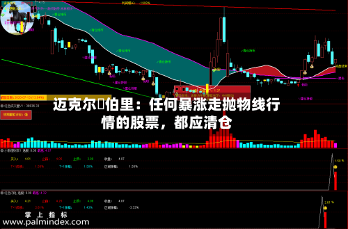 迈克尔・伯里：任何暴涨走抛物线行情的股票	，都应清仓-第2张图片
