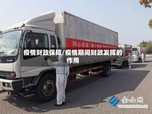 疫情财政保障/疫情期间财政发挥的作用