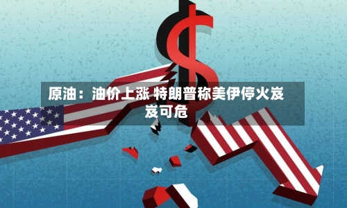 原油：油价上涨 特朗普称美伊停火岌岌可危