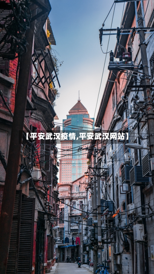 【平安武汉疫情,平安武汉网站】