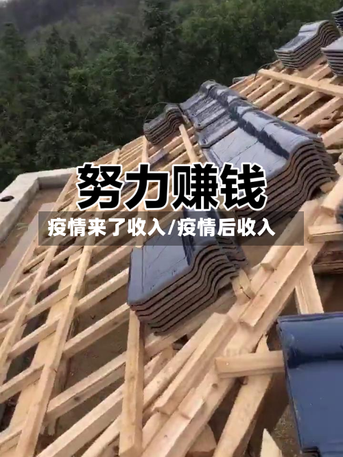 疫情来了收入/疫情后收入