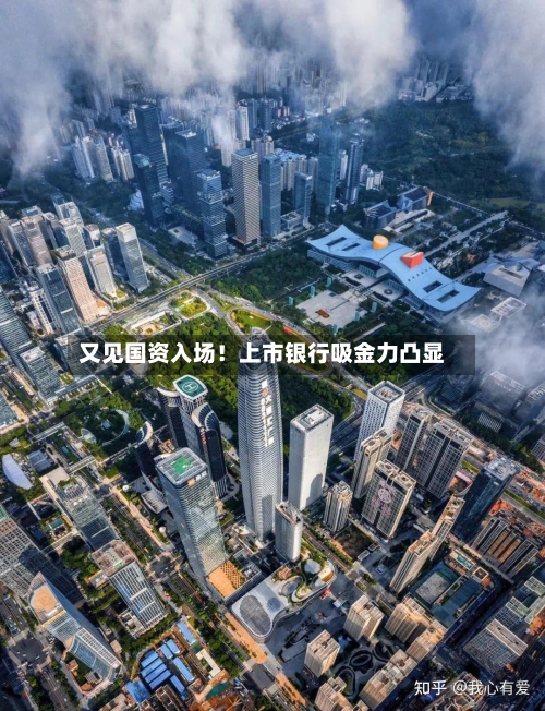 又见国资入场！上市银行吸金力凸显-第2张图片