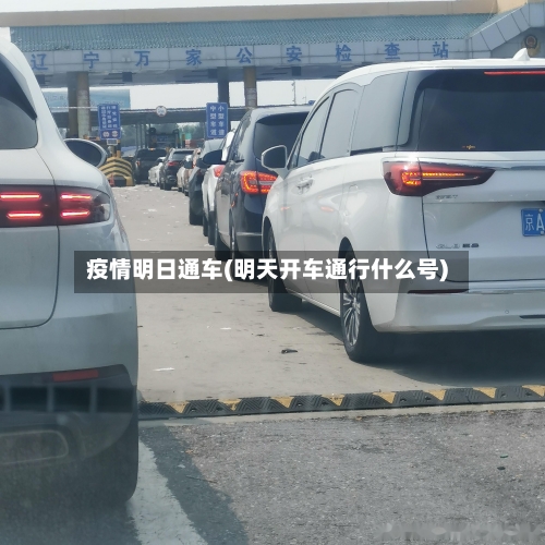 疫情明日通车(明天开车通行什么号)