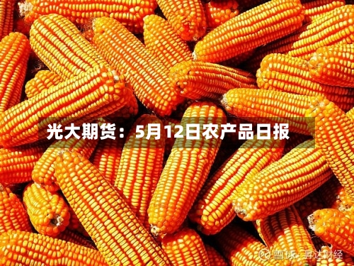 光大期货：5月12日农产品日报