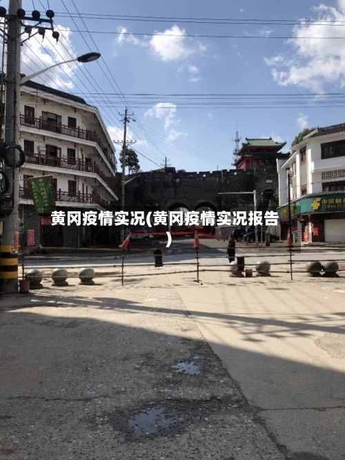 黄冈疫情实况(黄冈疫情实况报告)