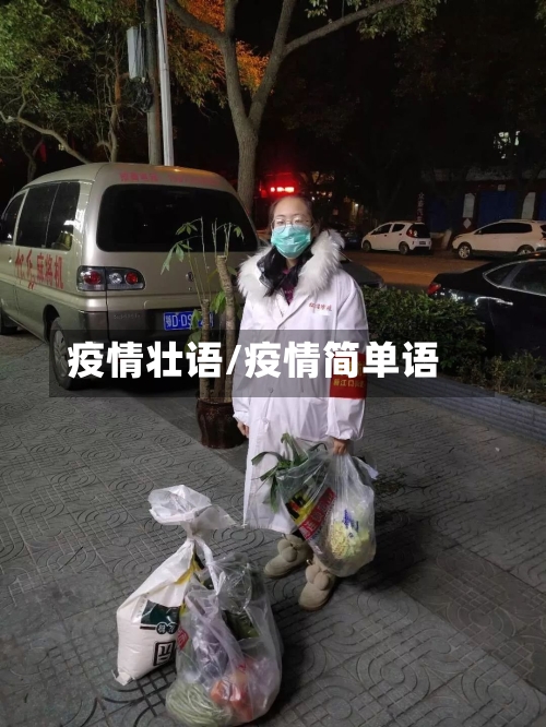 疫情壮语/疫情简单语