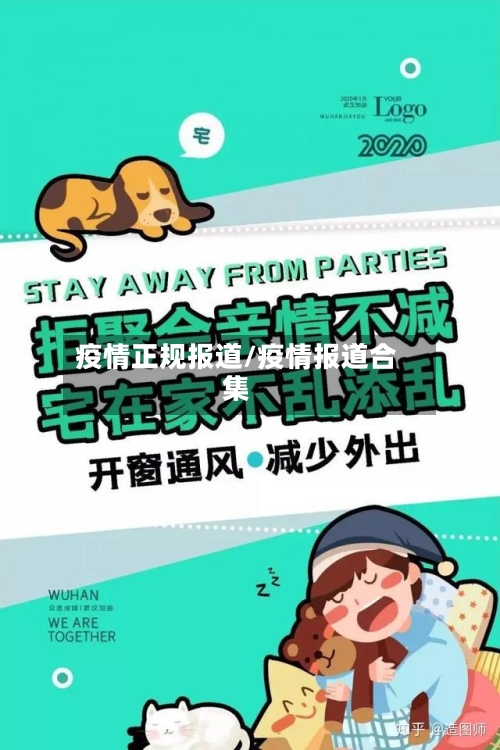 疫情正规报道/疫情报道合集