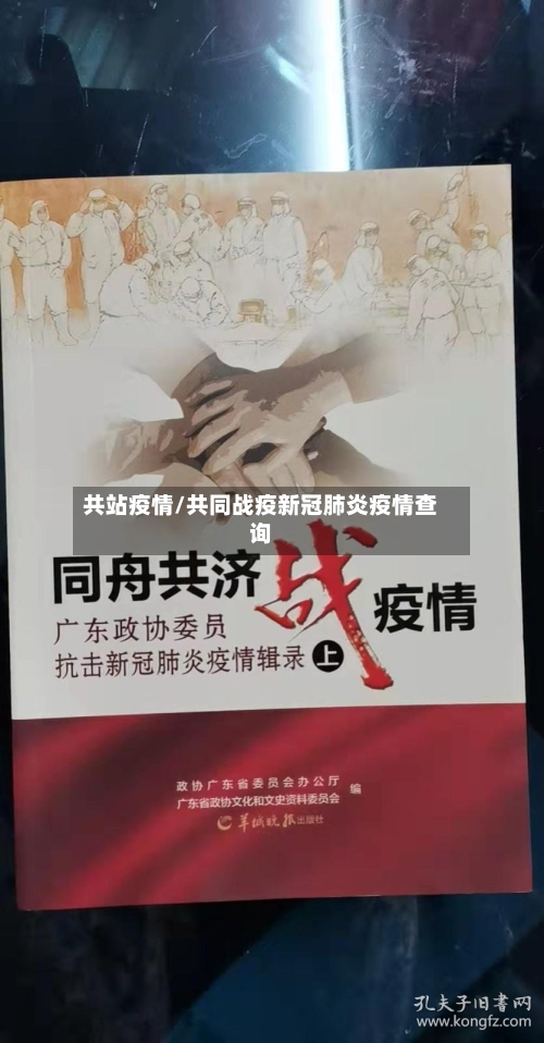 共站疫情/共同战疫新冠肺炎疫情查询-第2张图片