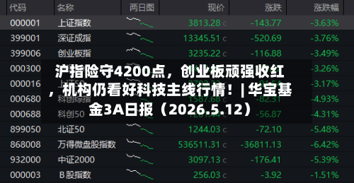 沪指险守4200点，创业板顽强收红，机构仍看好科技主线行情！| 华宝基金3A日报（2026.5.12）