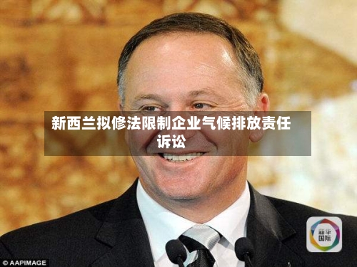 新西兰拟修法限制企业气候排放责任诉讼-第2张图片