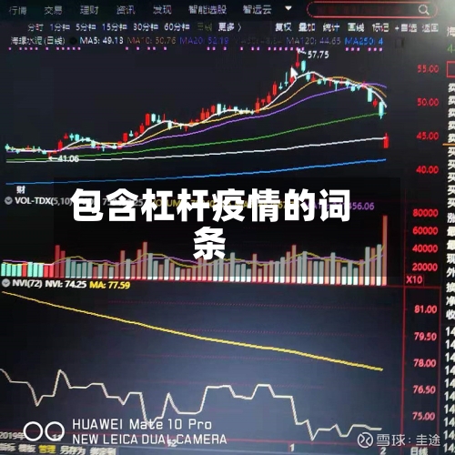 包含杠杆疫情的词条