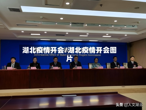 湖北疫情开会/湖北疫情开会图片