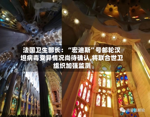 法国卫生部长：“宏迪斯	”号邮轮汉坦病毒变异情况尚待确认,将联合世卫组织加强监测-第2张图片