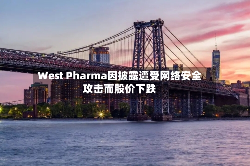 West Pharma因披露遭受网络安全攻击而股价下跌-第3张图片