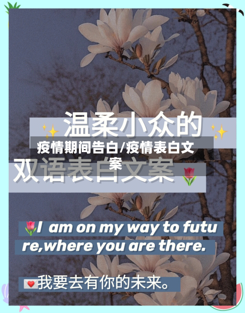 疫情期间告白/疫情表白文案