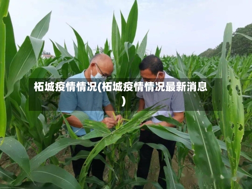 柘城疫情情况(柘城疫情情况最新消息)-第2张图片