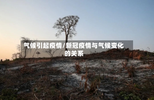 气候引起疫情/新冠疫情与气候变化的关系
