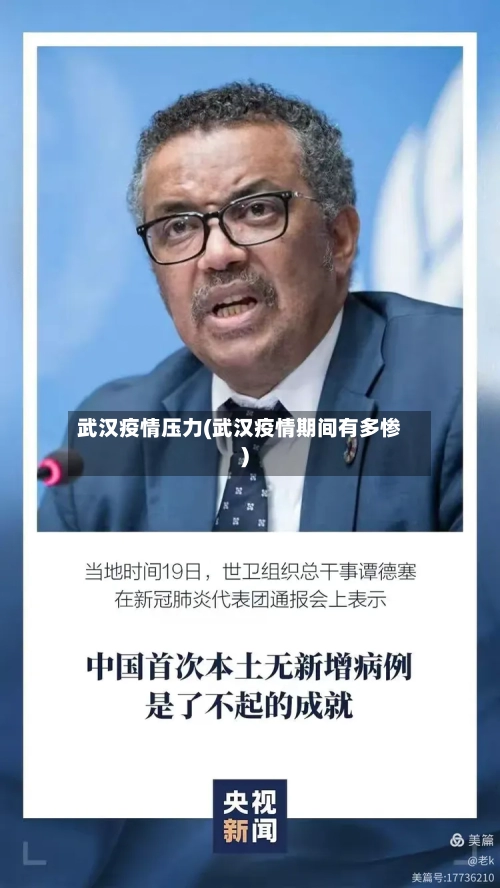 武汉疫情压力(武汉疫情期间有多惨)