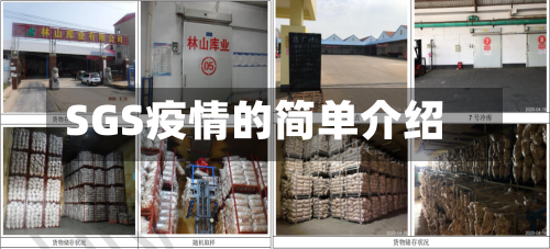 SGS疫情的简单介绍-第2张图片