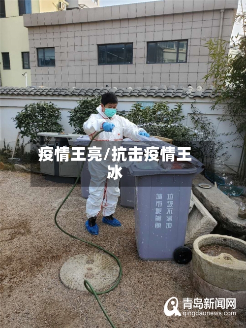 疫情王亮/抗击疫情王冰