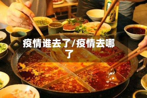 疫情谁去了/疫情去哪了-第2张图片