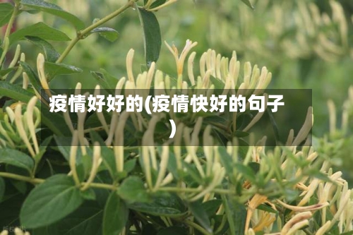 疫情好好的(疫情快好的句子)