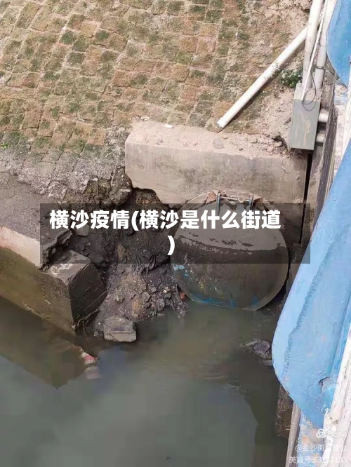 横沙疫情(横沙是什么街道)