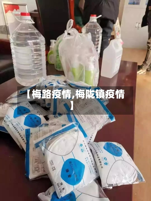 【梅路疫情,梅陇镇疫情】