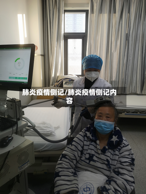 肺炎疫情侧记/肺炎疫情侧记内容