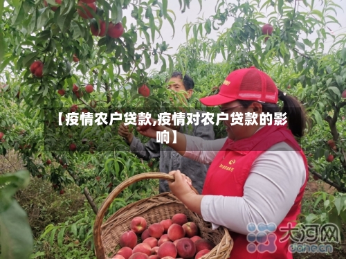 【疫情农户贷款,疫情对农户贷款的影响】