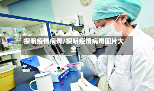 探明疫情病毒/探明疫情病毒图片大全