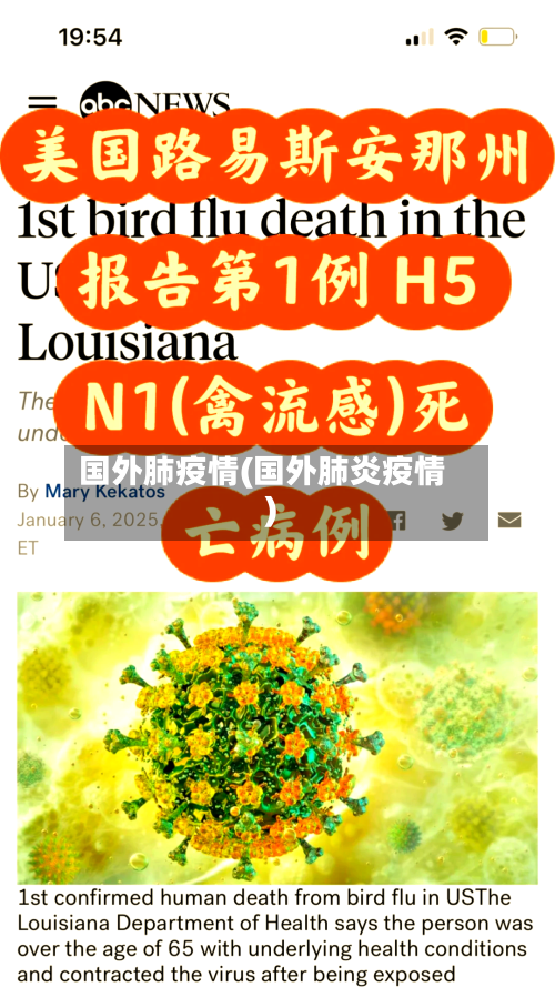 国外肺疫情(国外肺炎疫情)