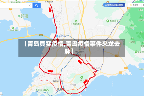 【青岛真实疫情,青岛疫情事件来龙去脉】-第2张图片