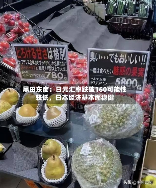 黑田东彦：日元汇率跌破160可能性较低，日本经济基本面稳健