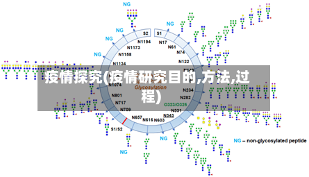 疫情探究(疫情研究目的,方法,过程)