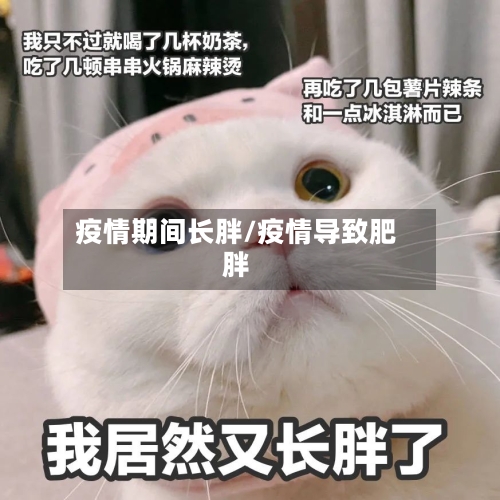 疫情期间长胖/疫情导致肥胖