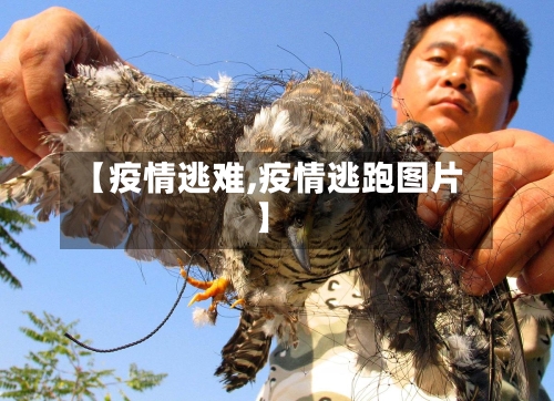 【疫情逃难,疫情逃跑图片】-第3张图片
