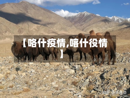 【咯什疫情,喀什役情】