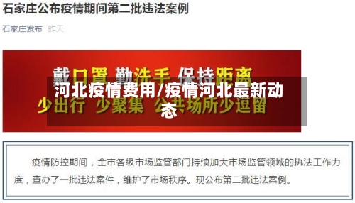 河北疫情费用/疫情河北最新动态-第2张图片