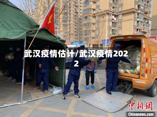 武汉疫情估计/武汉疫情2022