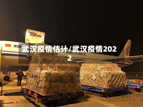 武汉疫情估计/武汉疫情2022-第2张图片