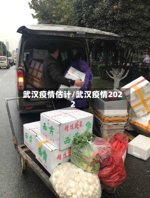 武汉疫情估计/武汉疫情2022-第3张图片