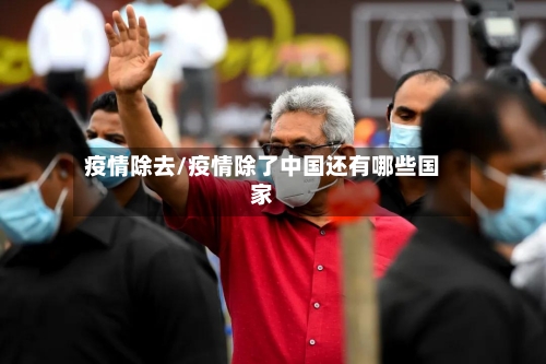 疫情除去/疫情除了中国还有哪些国家