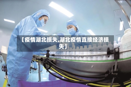 【疫情湖北损失,湖北疫情直接经济损失】