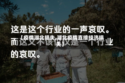 【疫情湖北损失,湖北疫情直接经济损失】-第2张图片