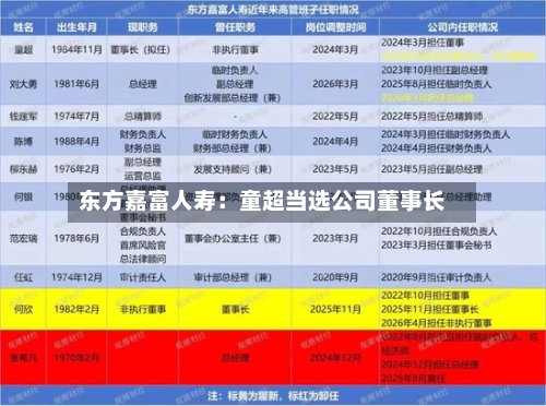 东方嘉富人寿：童超当选公司董事长-第2张图片