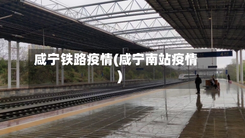 咸宁铁路疫情(咸宁南站疫情)